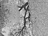 26a