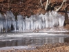 geese-and-icicles