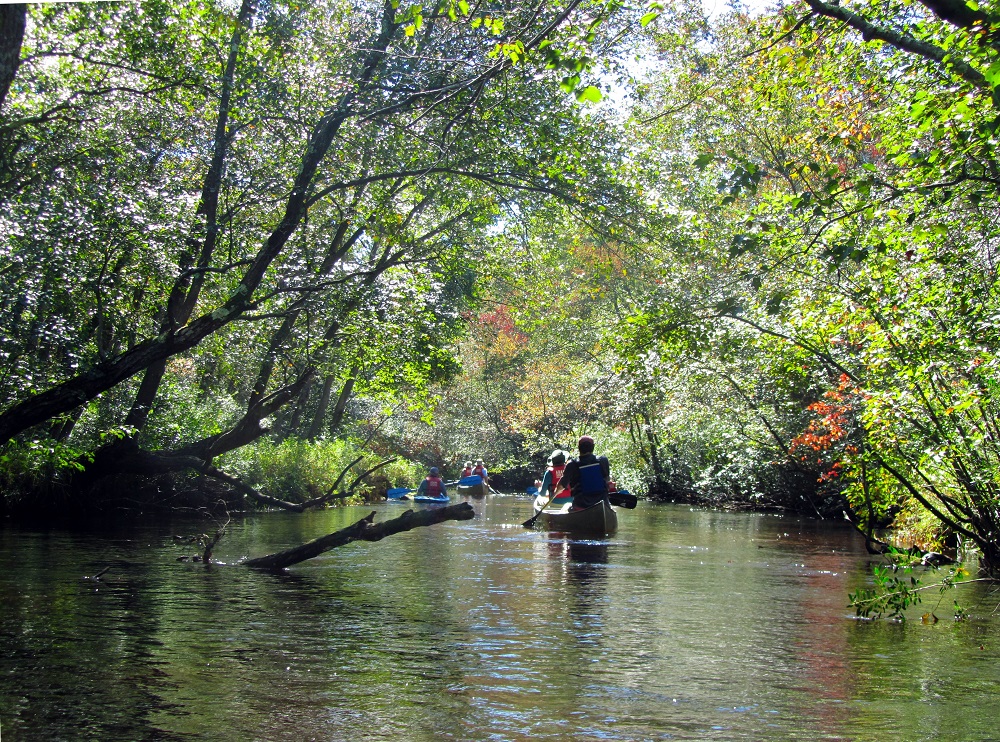 Pinelands Preservation Alliance Releases Annual State of the Pinelands Report