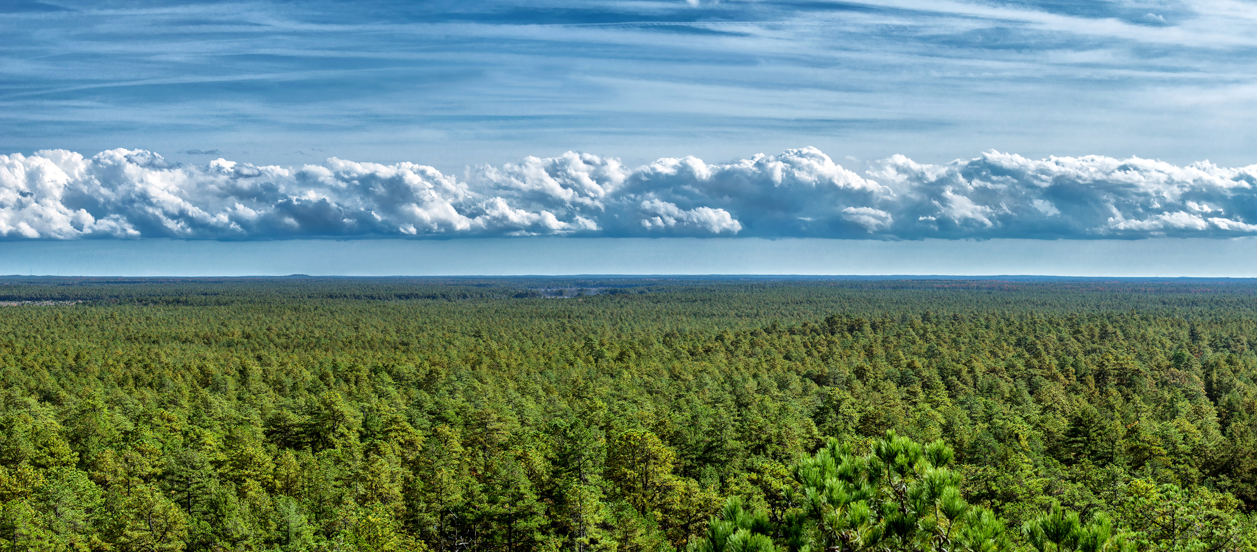 Member Feature: Pinelands Preservation Alliance