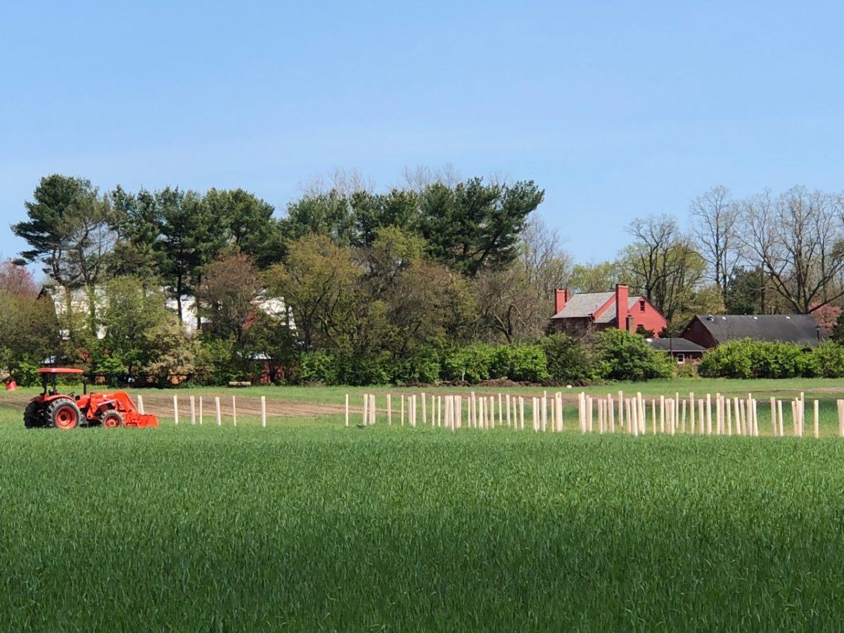 Project assignments pinelands 05 image