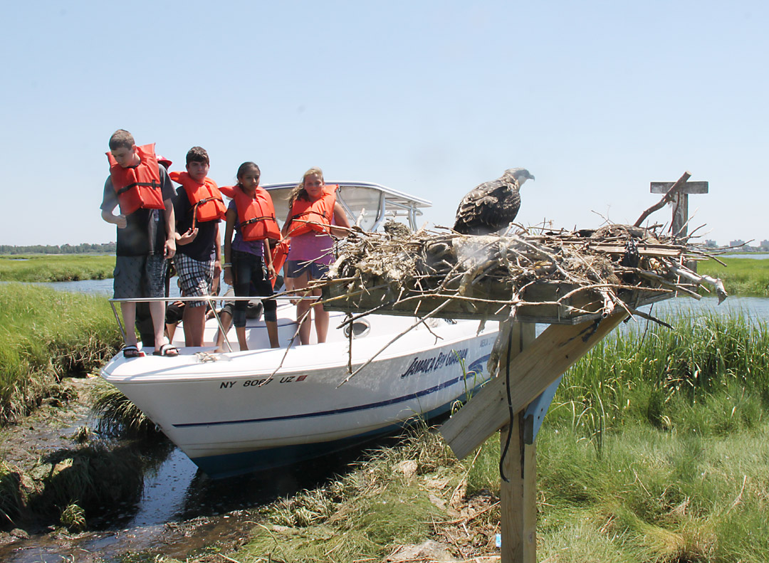 Member Feature: American Littoral Society