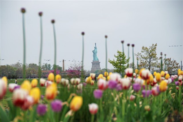 Member Feature: Friends of Liberty State Park