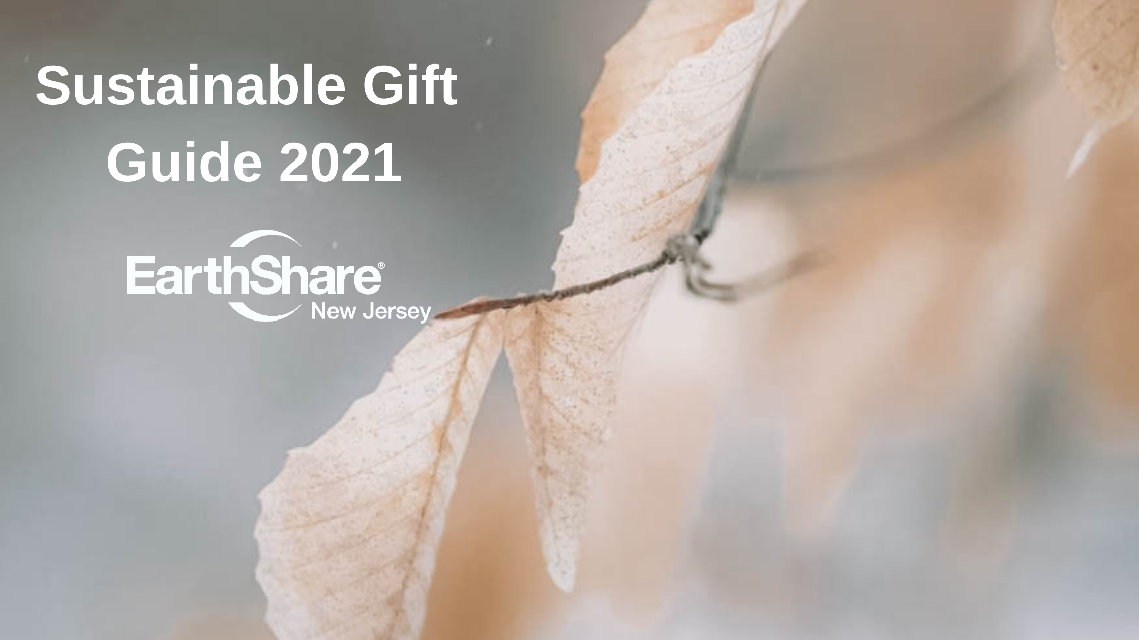 Sustainable Holiday Gift Guide